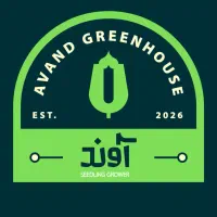 گلخانه تخصصی تولید نشا گوجه و صیفیجات آوند