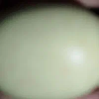 سنگهای تزئین به شکل تخم مرغ رسمی..بسیار زیبا|کلکسیون اشیاء عتیقه|یزد, |دیوار