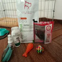 لوازم جانبی سگ