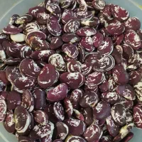 لوبیا کیلو ۳۵۰