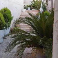 دو خواب مسیر اصلی چوگیا ۱۱۱ متر دو نبش|اجارهٔ آپارتمان|شیراز, چوگیاه‎|دیوار
