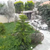 فروش ویلاباغ دوبلکس ۵۳۰متری داخل بافت ومدارک تکمیل|فروش خانه و ویلا|چمستان, |دیوار