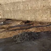 زمین مسکونی