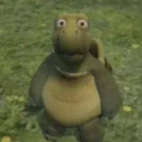 فروش کاسه پشت گردن ریت