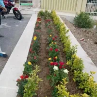 سلام تمامیه کارهای باغبانی انجام میشود