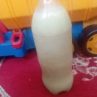 ابلیموی تازه خانگی