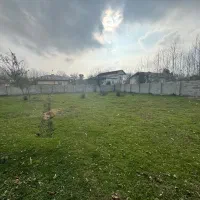 زمین مسکونی تک برگ با ۲۵۰ متر پروانه