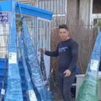 بهترین نهال هارو آزما بخواهیدکیفیت آزما تبلیغ ازشم