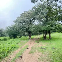 اجاره کلبه چوبی وسوییت
