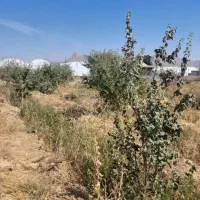 باغ ۸۰۰ متری|فروش زمین و ملک کلنگی|دهاقان, |دیوار