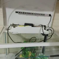 اکواریوم