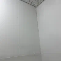 نئوپان