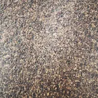 کنجدولوبیاچیتی دولپه