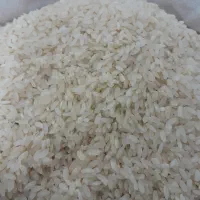 برنج اصل کامفیروزی درجه یک