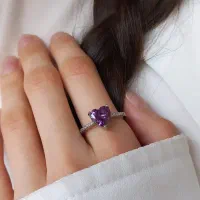 اکسسوری یا بدلیجات