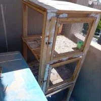 قفس کبوتر