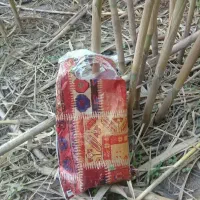 یه عدد پیک نیک پنج کیلویی نو صفر