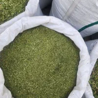 فروش سبزی خشک و تازه