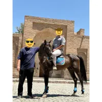 آموزش سوارکاری، گشت و طبیعت گردی با اسب|اسب و تجهیزات اسب‌سواری|مشهد, شهرک صنعتی توس|دیوار