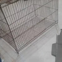 قفس پرنده
