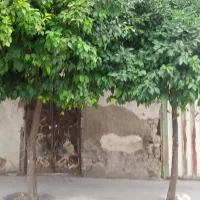 ویلایی بلوار الغدیر غدیر ۲۶