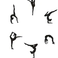 ثبت نام کلاس ژیمناستیک کودک و بزرگسال شروع شد