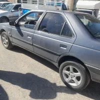 پژو ۴۰۵ دلفینی