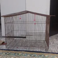 قفس