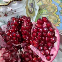 باغبانی وتمیز کاری باغات|خدمات باغبانی و درختکاری|یزد, |دیوار