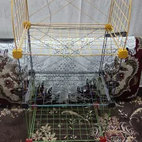 قفسه و کتابخانه