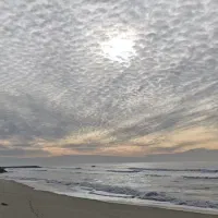 قایق قماره دار موتور مرکوری