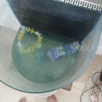 اکواریوم با سه عدد ماهی و غذای ماهی|ماهی|گلبهار, شهر جدید گلبهار|دیوار