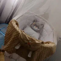 گهواره نوزاد