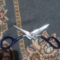 قیچی دهن کج|لوازم خیاطی و بافتنی|قم, شهر قائم|دیوار