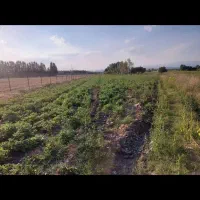 زمین ۳۴۰۰ متری