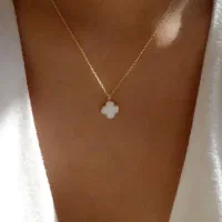 بدلجیات و اکسسوری|بدلیجات|جیرفت, |دیوار