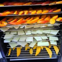 دستگاه میوه و سبزی خشک کن|سایر لوازم برقی|تهران, ترمینال غرب|دیوار