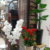 تخفیف ویژه گل و درختچه|گل مصنوعی|بندر کنگان, |دیوار