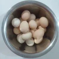 تخم مرغ رسمی اصل