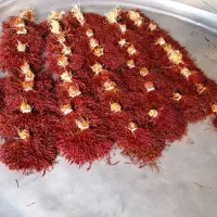 زعفران دختر پیچ