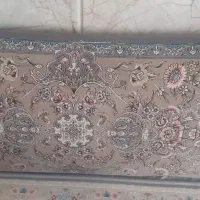 سلام یک جفت پشتی نونو وسالم