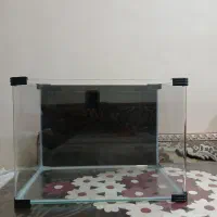 آکواریوم دلسا