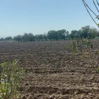 زمین کشاورزی