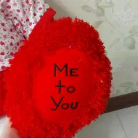 عروسک خرسی بزرگ|اسباب‌‌بازی|اصفهان, باغ زیار|دیوار
