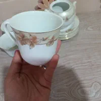فنجان نعلبکی|ظروف سرو و پذیرایی|آزادشهر, |دیوار