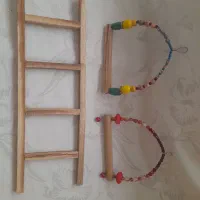 تاب ونردبان بازی پرندگان