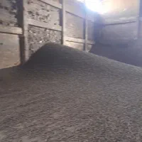 خرید فروش سپوس ،تفاله چغندر ،جو ،ذرت ،کود شیمیایی|خدمات باغبانی و درختکاری|کنگاور, |دیوار