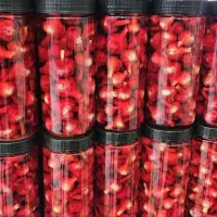 پخش زیتون / خیارشور و انواع محصولات دیگر