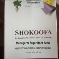 بذر چغندر قند