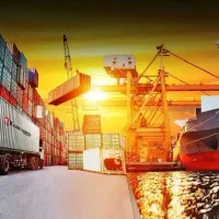 خرید سیب و کیوی|خوردنی و آشامیدنی|رشت, لاکان|دیوار